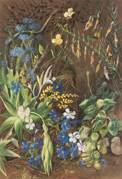 Two works: Foliage by Marian Ellis Rowan