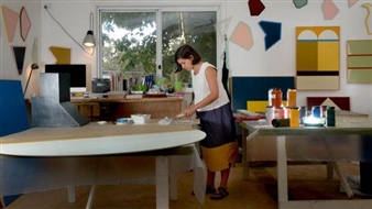 Archibald Prize 2016: Esther Stewart wins Sulman Prize with abstract painting