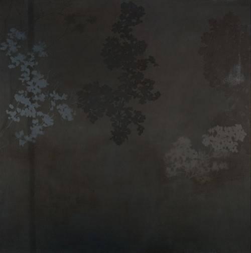 Falls The Shadow by Adriane Strampp, 2009