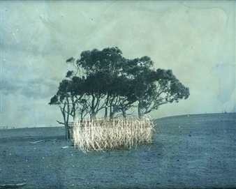 James Tylor: Territorial Encounters - Contemporary Art Centre of South Australia