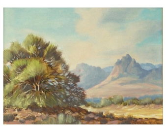 a desert landscape - Zoraida Twitty