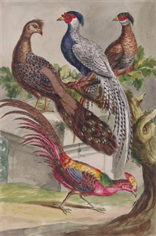 Chinese pheasants on a tree - Johann Christoph Gottlieb Reiler