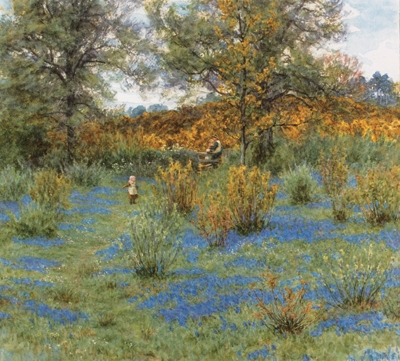 The bluebell copse by Helen Allingham, 1880