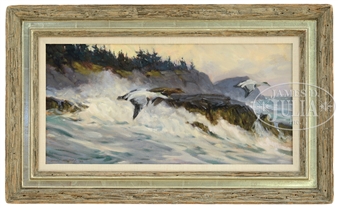 EIDERS OFF MONHEGAN - Don Stone