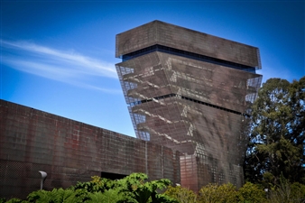 De Young Benefactor Resigns to Remove Questions Over Whistle-blower and Misuse of Museum Funds