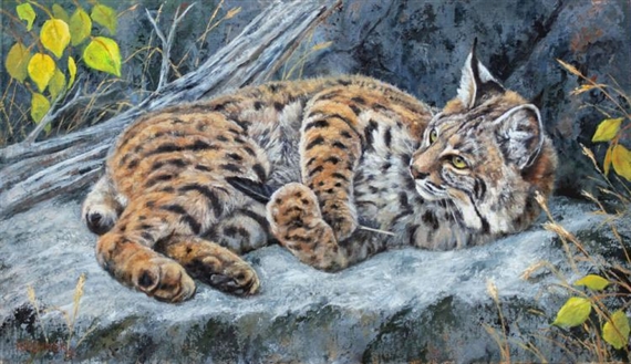 Momentary Distraction- Bobcat - Leslie Kirchner