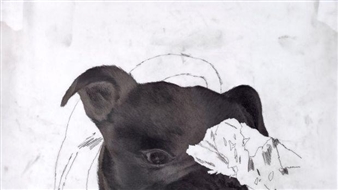 What's on in Canberra's art scene from August 5