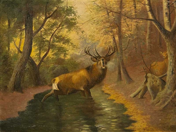 Stag in a Forest - Harry Graff