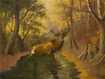 Stag in a Forest - Harry Graff