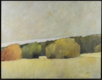 Landscape of Bushes and Hills - Byron Emrick Debolt