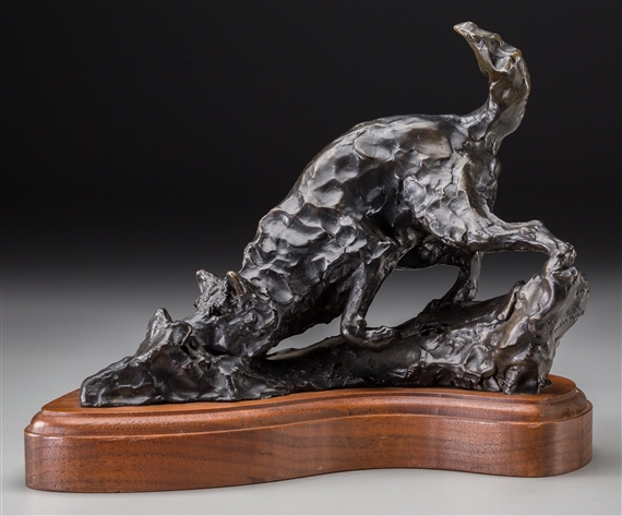 Coyote by Sherry Sander