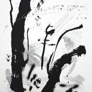 Proof: The Best of Contemporary Printmaking - Port Jackson Press Print Room