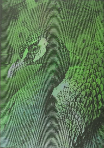 Olympeacock IV by Kamil Kmiecik, 2016