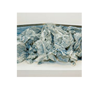 Michelle Skelton: Looking In/Looking Out - Artspace Mackay