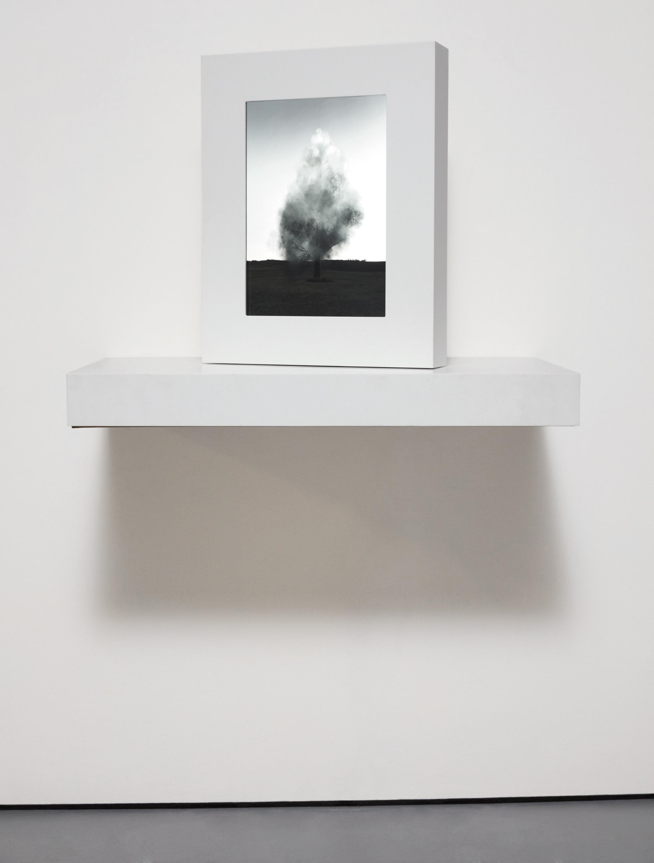 Artwork by John Gerrard, Smoke Tree IV, Made of simulation with artist's Corian frame and Corian console table