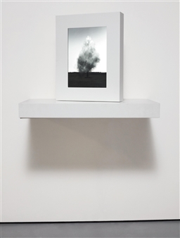 Smoke Tree IV - John Gerrard