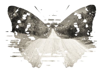 Julian Lennon: Photographies - Coburn Projects, New York