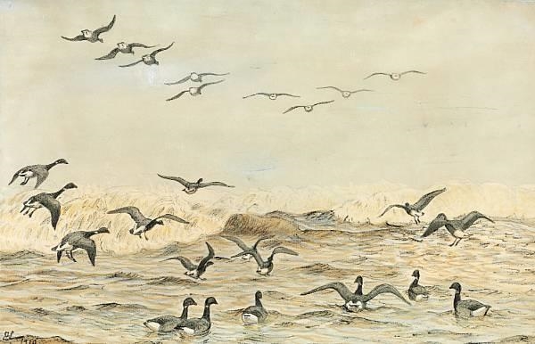 Brentgeese (knortegæs) by the sea by Johannes Larsen, 1910