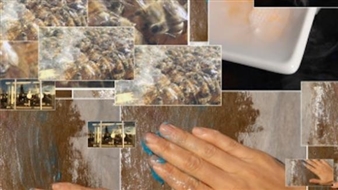 Top Five Fall Preview: September 1, 2016