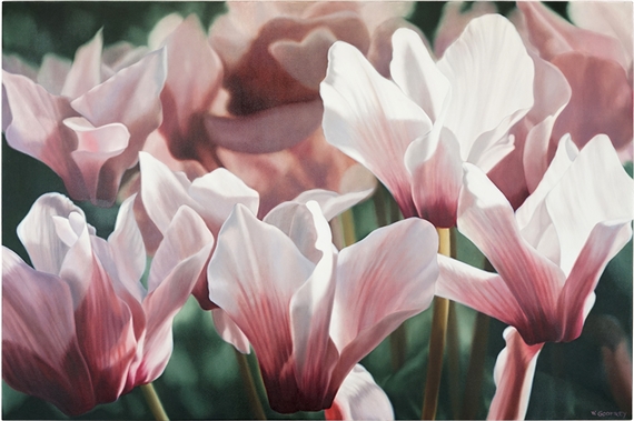 Pink Cyclamen by Winifred Godfrey