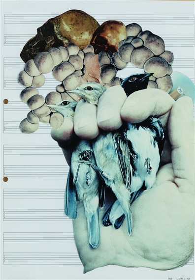 Bird in Hand by Peter Madden