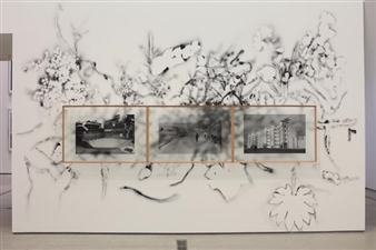 Expanding scope of art