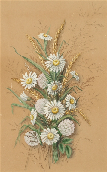 BOUQUET OF WHEAT AND DAISIES - Lucia Smith Bliss