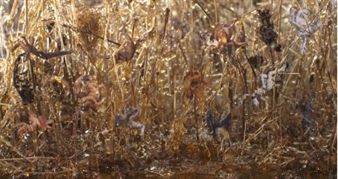 Casilda Sánchez: The Temptation of Falling - ENGAGE Projects