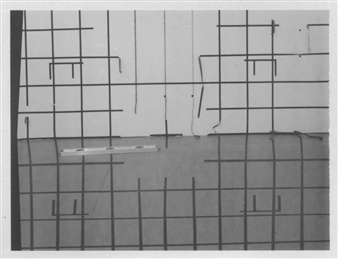 Lost Cause - Tiger Strikes Asteroid, New York