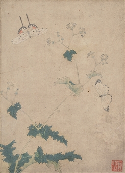 Butterflies - Wen Shu