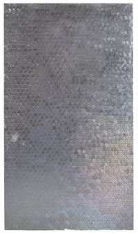 SCHENGEN VISA HOLOGRAM - Oliver Laric