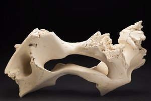 Earth Skin - Cavin-Morris