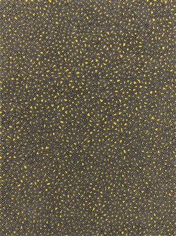 EVEN IN THE QUIETEST MOMENTS 8 - Anil Revri