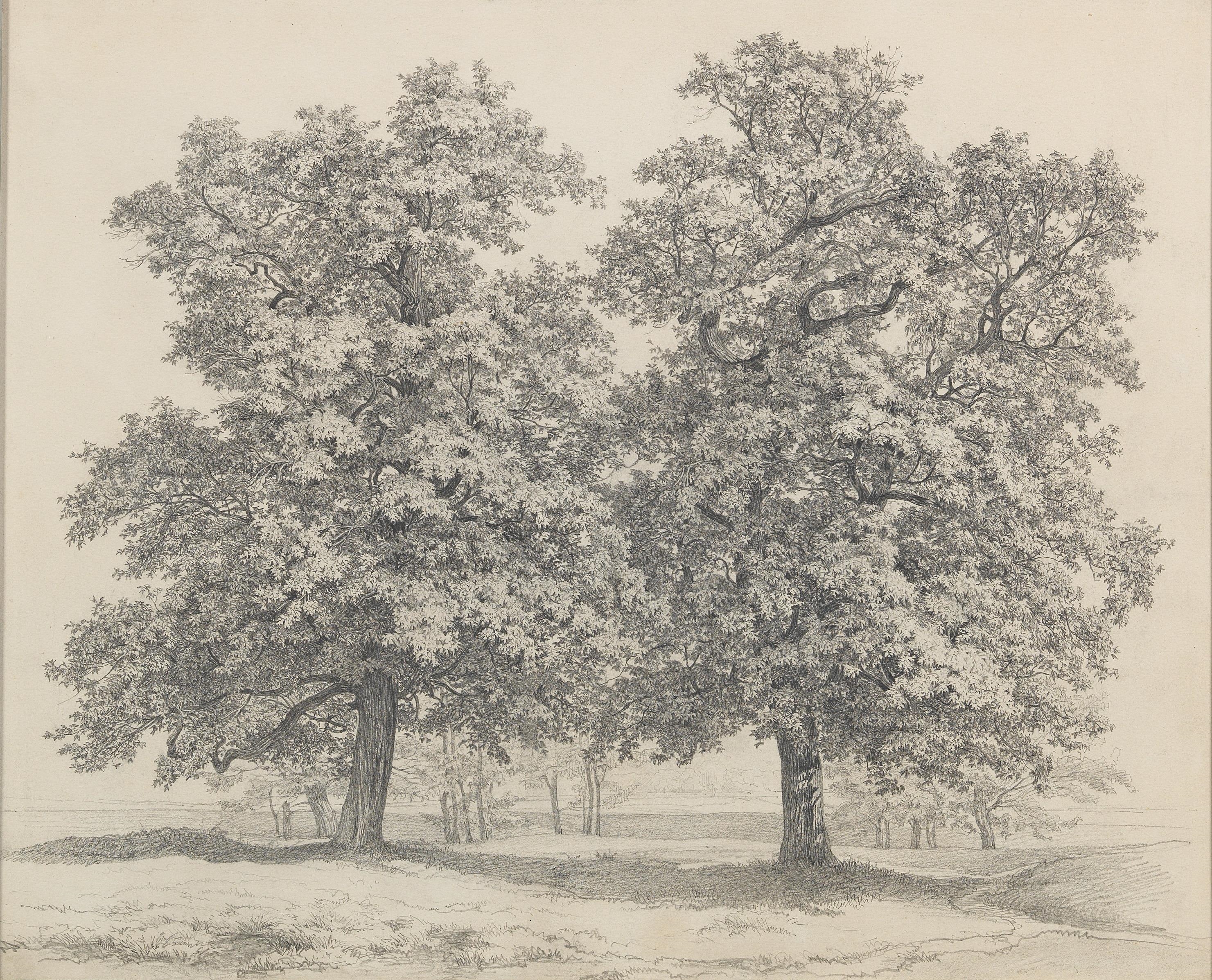 Artwork by Josef Kriehuber, A landscape with a group of trees, Made of pencil on paper