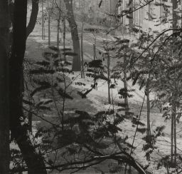 PRAGUE - Jiří Jeníček