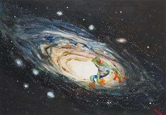 Frog in Space - Anna Irmina Bak