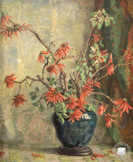 Coral Tree Blossoms, still life by Anna Lee Stacey