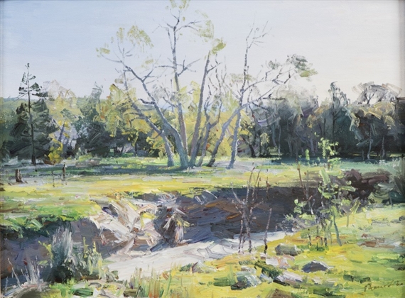 Ruo Li | Dry wash in Irvine Park | MutualArt