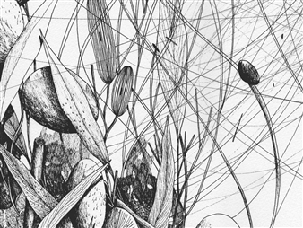 Tellas: Clima Estremo - Wunderkammern Gallery, Rome