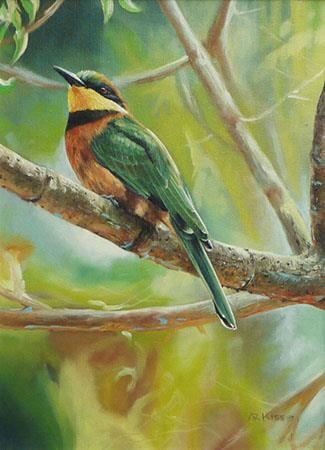 Artwork by Andrew Kiss, Bee Eater, Made of Oil on canvas