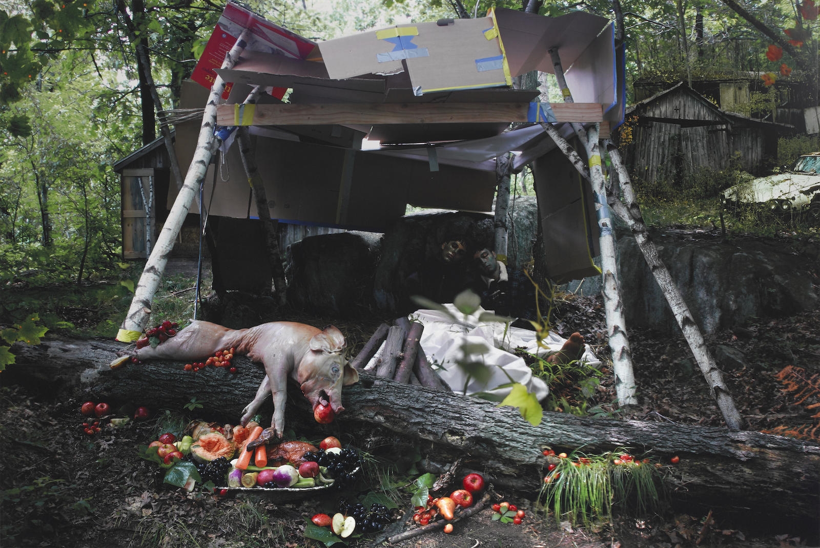 Still Life With Pig by Anthony Goicolea, 2005