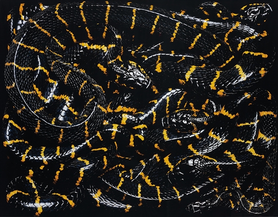 melanotan 2 is it safe Mangrove Cat Snake - Gold Ringed Cat Snake main image 0