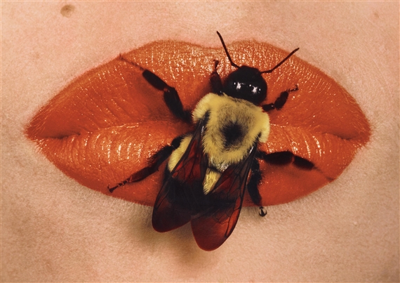 Bee on Lips, New York by Irving Penn, 1995, printed 1999