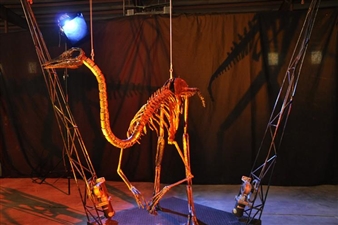 21 Best Things to Do in Houston This Week