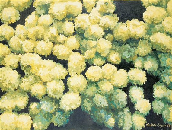 Untitled - White Hydrangeas by Heather Sayeau, 1998