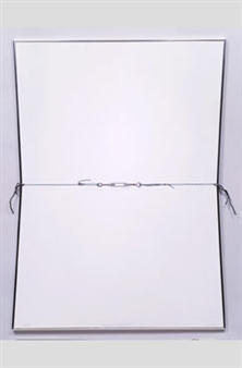 Pierre Ayot: Face à face - Galerie Graff