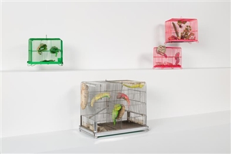 Tetsumi Kudo - Andrea Rosen Gallery