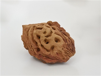 Josh Callaghan: LIFEFORCE - Harmony Murphy Gallery