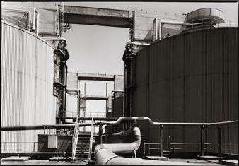 Seat Maccanica, Ecologia - Bruna Biamino