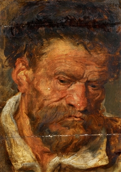 Head of a Bearded Man (Oil Sketch) - Flemish School, 17th Century